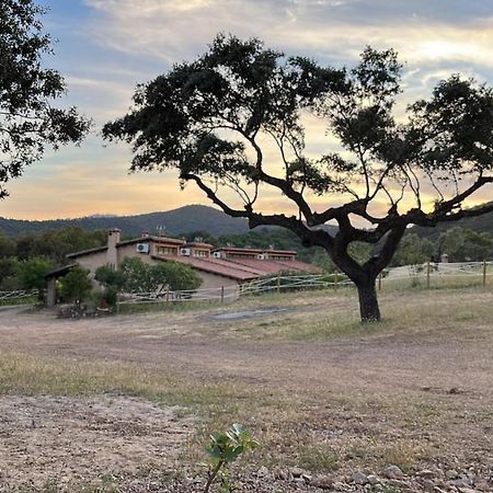 Apartamentos Rurales En Plena Sierra La Calera Exteriör bild