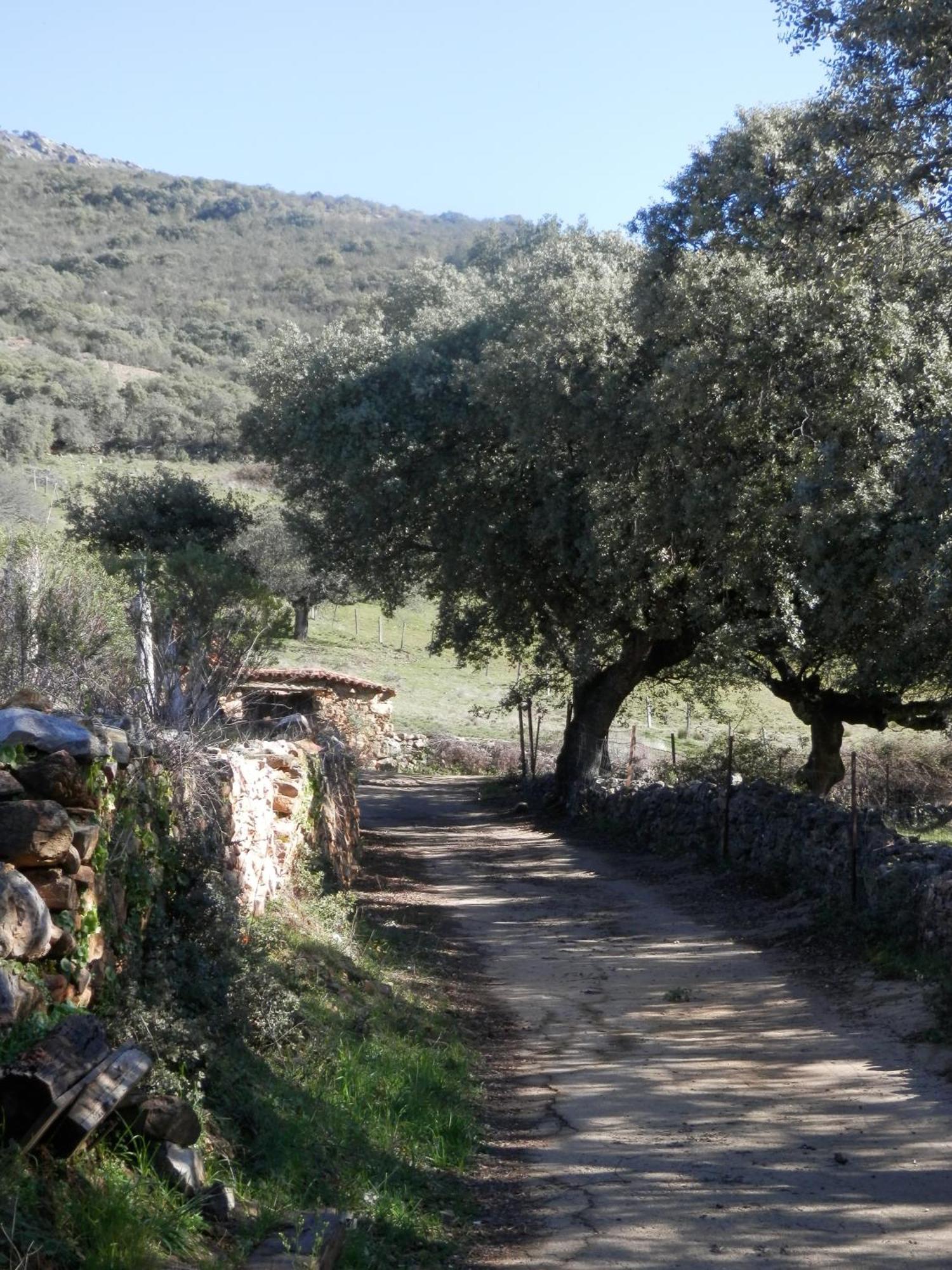 Apartamentos Rurales En Plena Sierra La Calera Exteriör bild